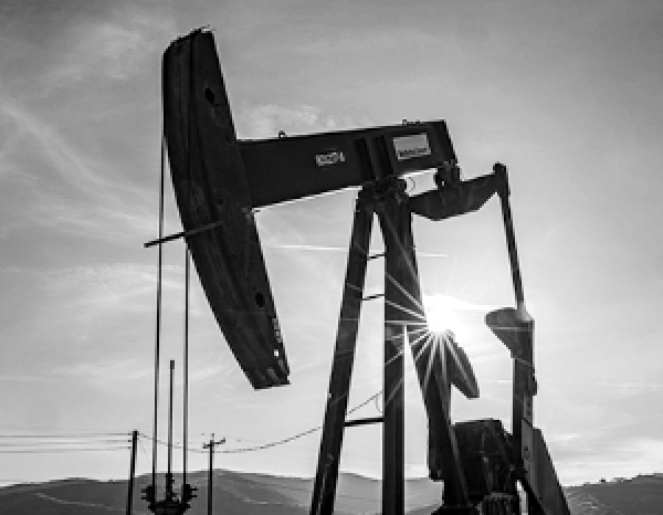 Сын бойца ММА Дацика погиб в зоне спецоперации