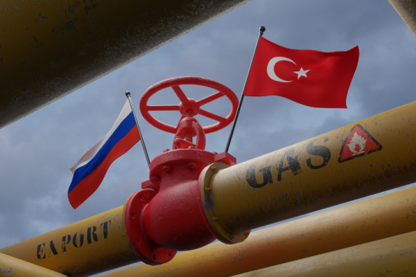 Анкара высказалась об альтернативах &laquo;Турецкому потоку&raquo;