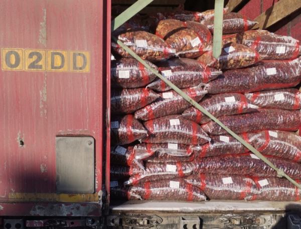 На границе Челябинской области задержали 45 тонн орехов и сухофруктов