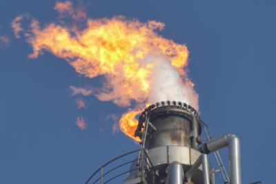 Энергетик ответил, вынудят ли Венгрию и Словакию отказаться от газа из РФ