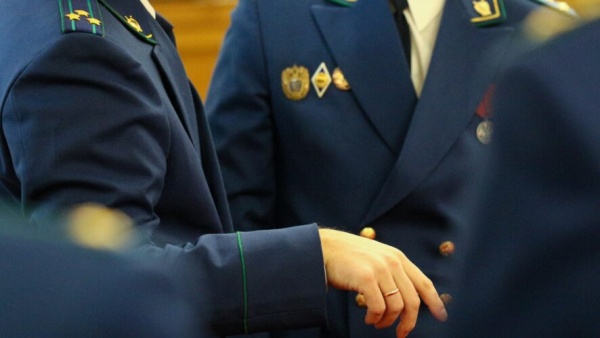 Прокуратура выявила нарушения в работе нескольких автошкол в Казани 25/03/2026 &ndash; Новости