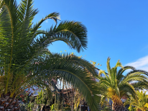 Блогер рассказала о реальных ценах во Вьетнаме: сколько стоят отели, такси и уличная еда