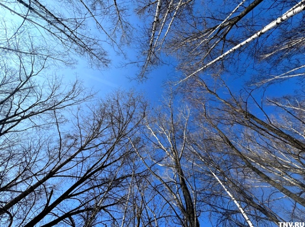 В Гидрометцентре рассказали, как изменится погода в Татарстане в ближайшие дни