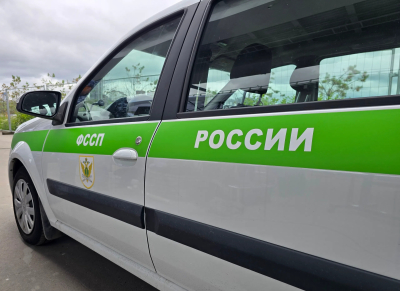 Приставы Татарстана вынудили организацию провести орнитологическое исследование