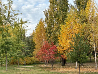 В Татарстане по нацпроекту запускают проект &laquo;Заповедный Татарстан&raquo;