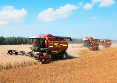 Формула прогресса