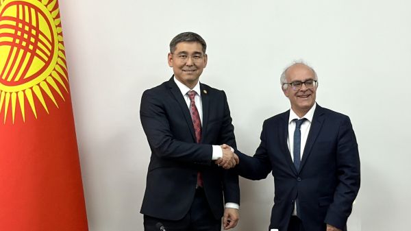 Кыргызстан и Франция обсудили новые проекты в здравоохранении