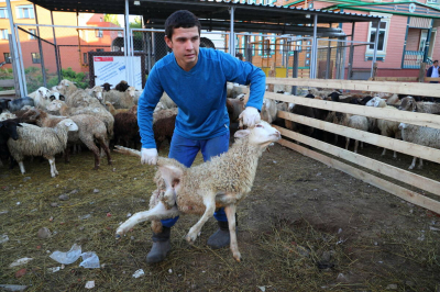 Площадки для заклания и ветеринарный контроль: в Татарстане готовятся к Курбан-байраму