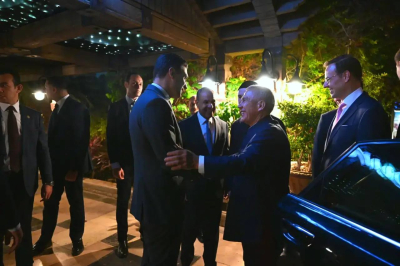 Глава МИД Египта &ndash; Минниханову: компании РТ&nbsp;могли&nbsp;бы получить преференции в&nbsp;египетских торговых зонах