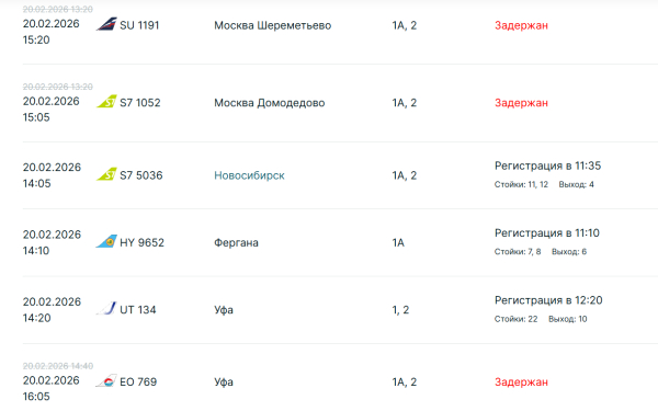 В аэропорту Казани ряд рейсов задерживаются из-за непогоды и ограничения полетов