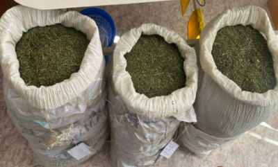 Более 50 кг марихуаны изъяли у жителей Жамбылской области