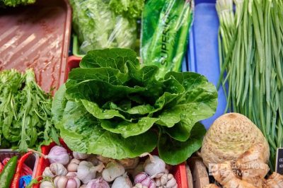 На сельхозярмарках жители Татарстана купили продукции на 282 млн рублей