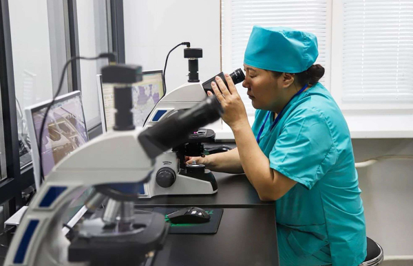 Проверят на безопасность