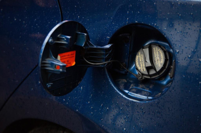 Росстат: в Курганской области зафиксирована самая низкая цена на бензин в стране