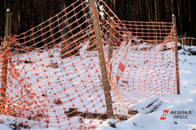 Екатеринбуржцы выступили против стройки в любимой роще напротив кладбища