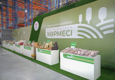 Токаеву представили проекты по строительству теплиц в Шымкенте