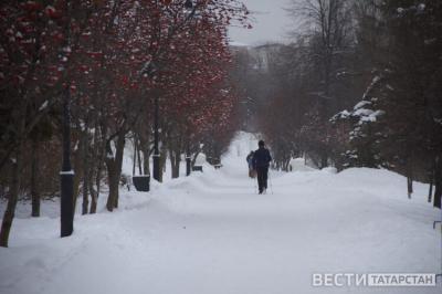 В Казани начался демонтаж новогодней иллюминации в парках